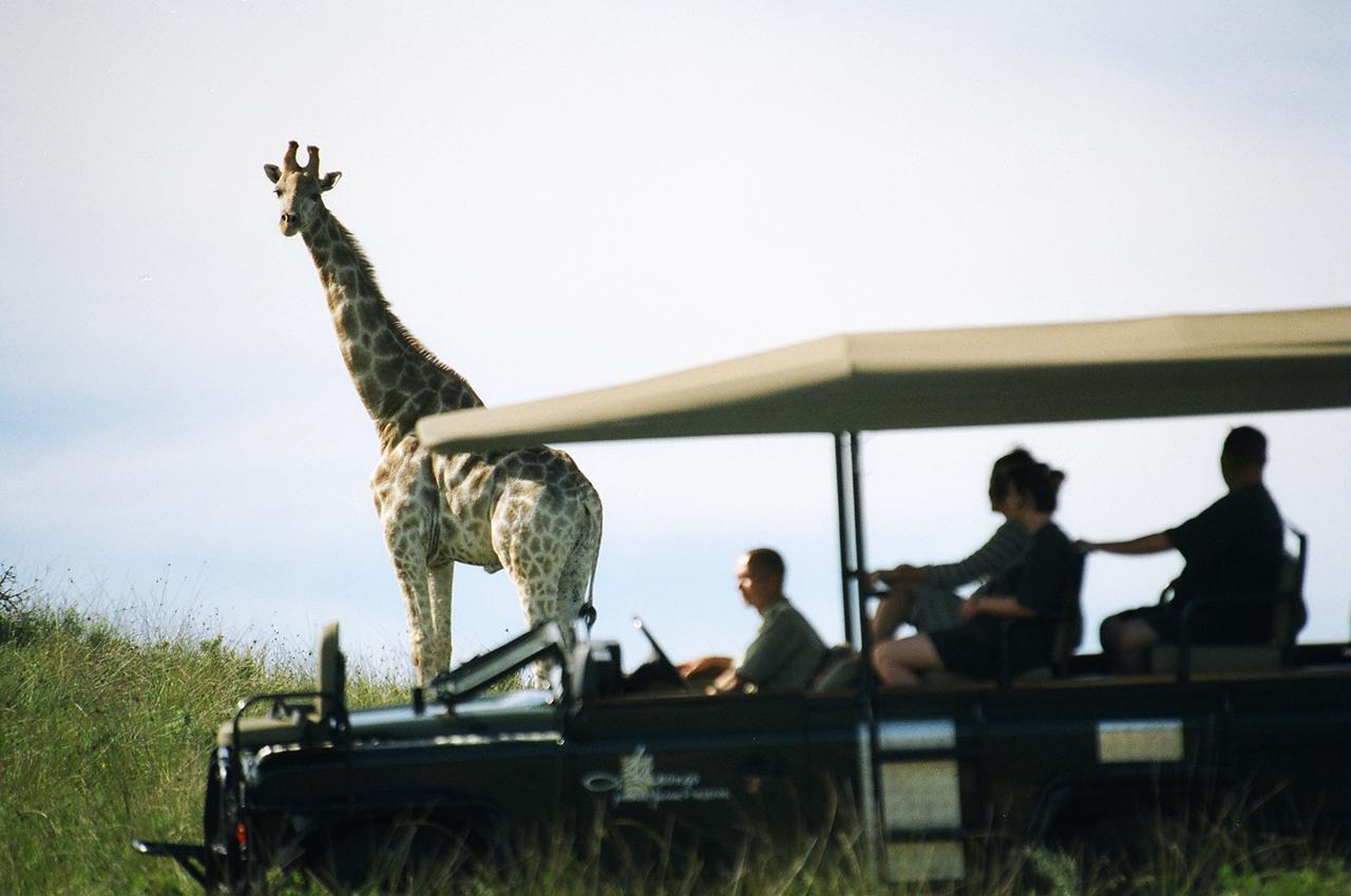 Premier Resort Mpongo Private Game Reserve Macleantown Exterior foto