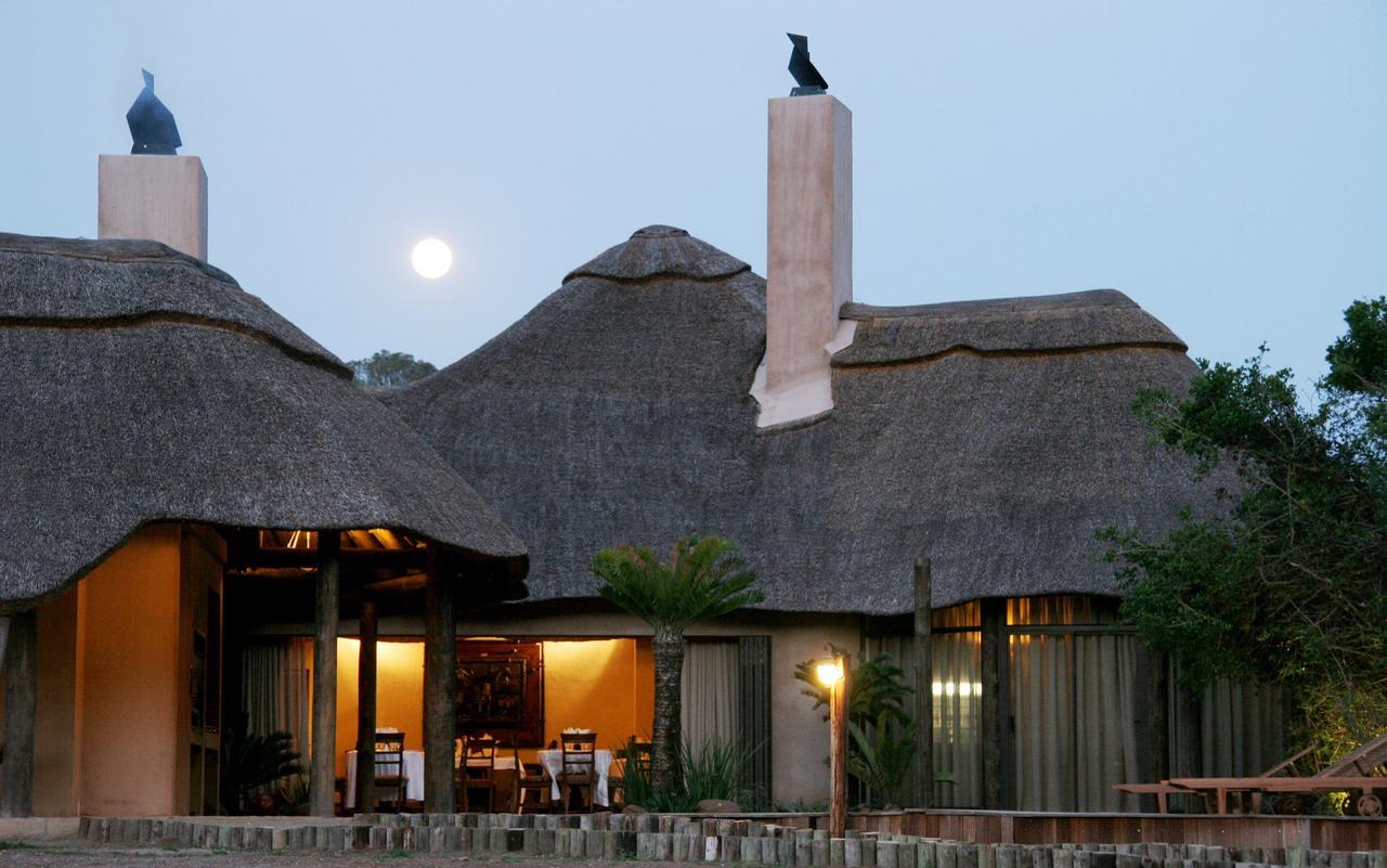Premier Resort Mpongo Private Game Reserve Macleantown Exterior foto