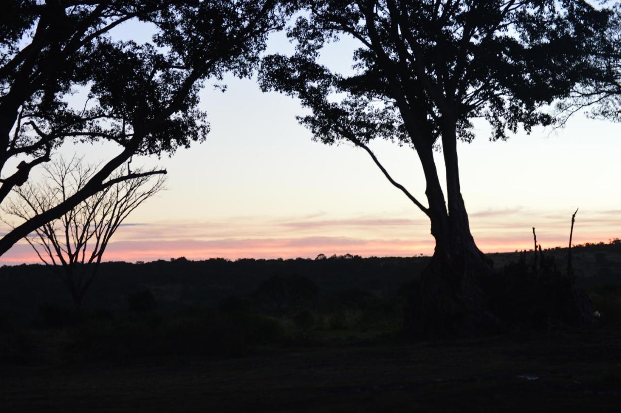 Premier Resort Mpongo Private Game Reserve Macleantown Exterior foto