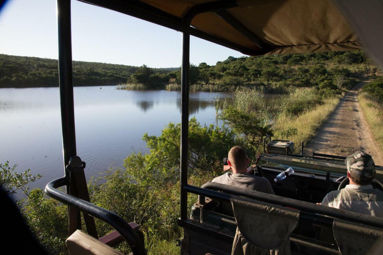 Premier Resort Mpongo Private Game Reserve Macleantown Exterior foto