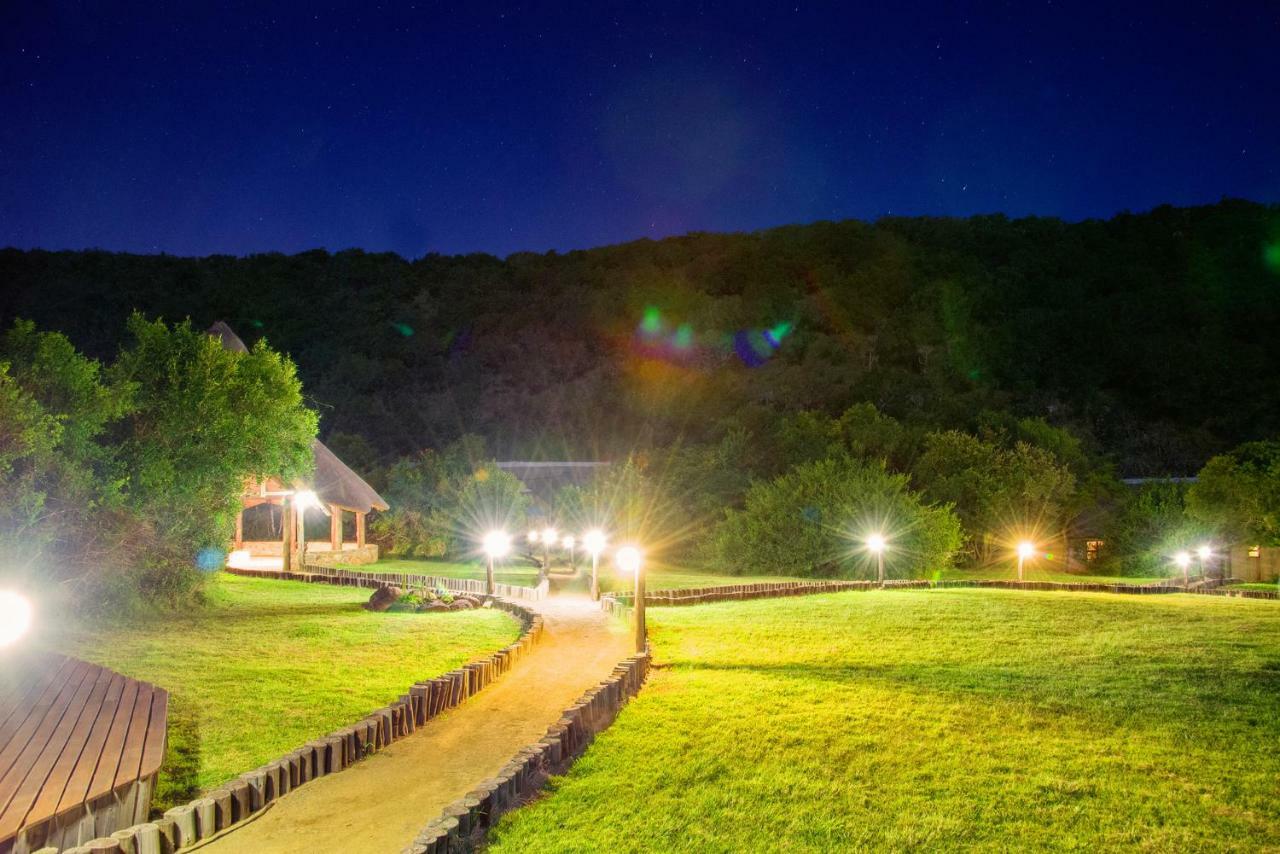 Premier Resort Mpongo Private Game Reserve Macleantown Exterior foto